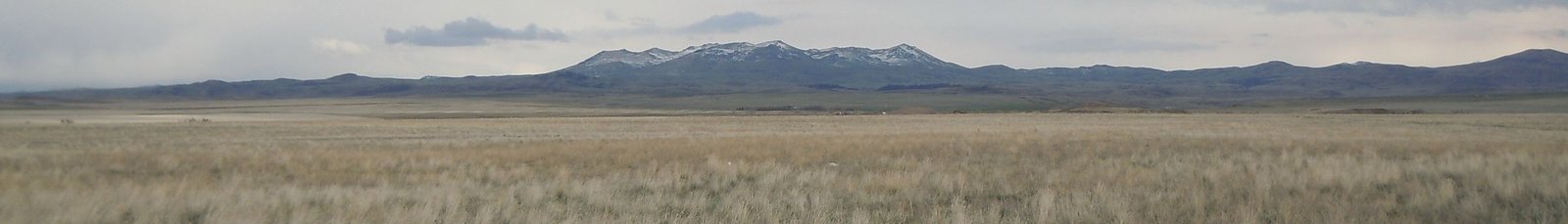 Wheatgrass prairie south of Havre with the Bears Paw Mountains on the horizon