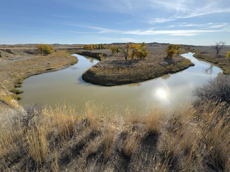 A horseshoe bend of the Milk River near Malta, Montana, lined with autumn cottonwoods